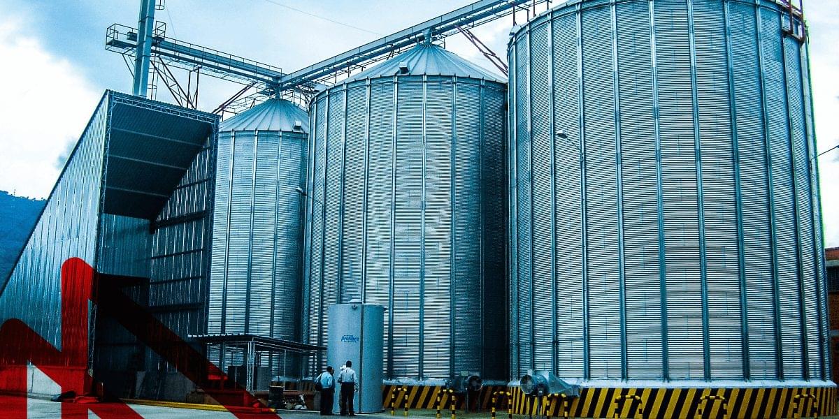 slider proyectos alimentos concentrados: Avimol imagen 2