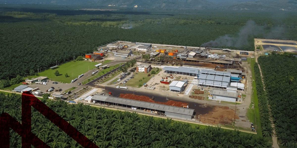 slider oil palm projects: Hondupalma image 1