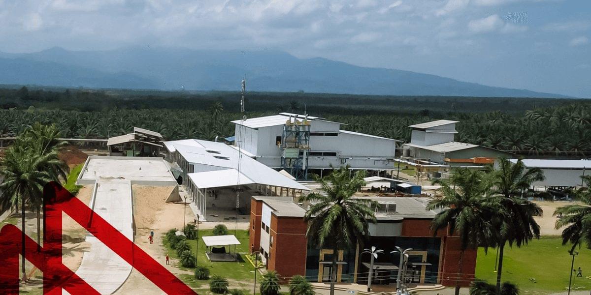 slider oil palm projects: Hondupalma image 2