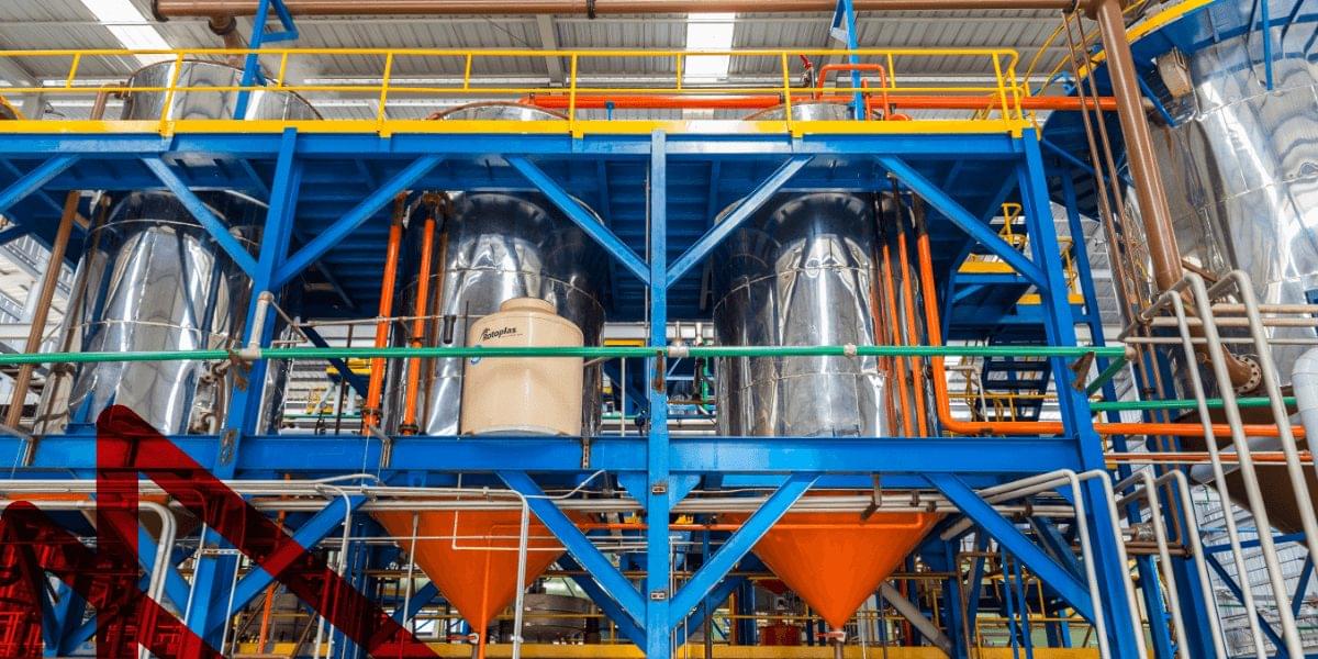 slider oil palm projects: Hondupalma image 5