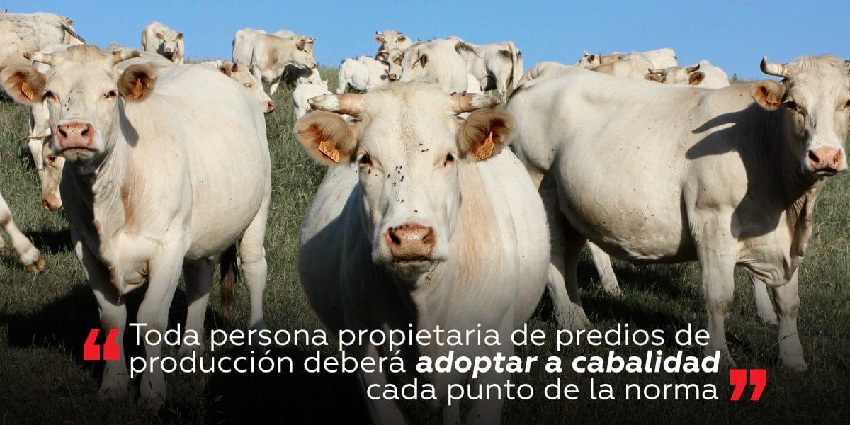 Ministerio de Agricultura: Nuevo Manual de Bienestar Animal
