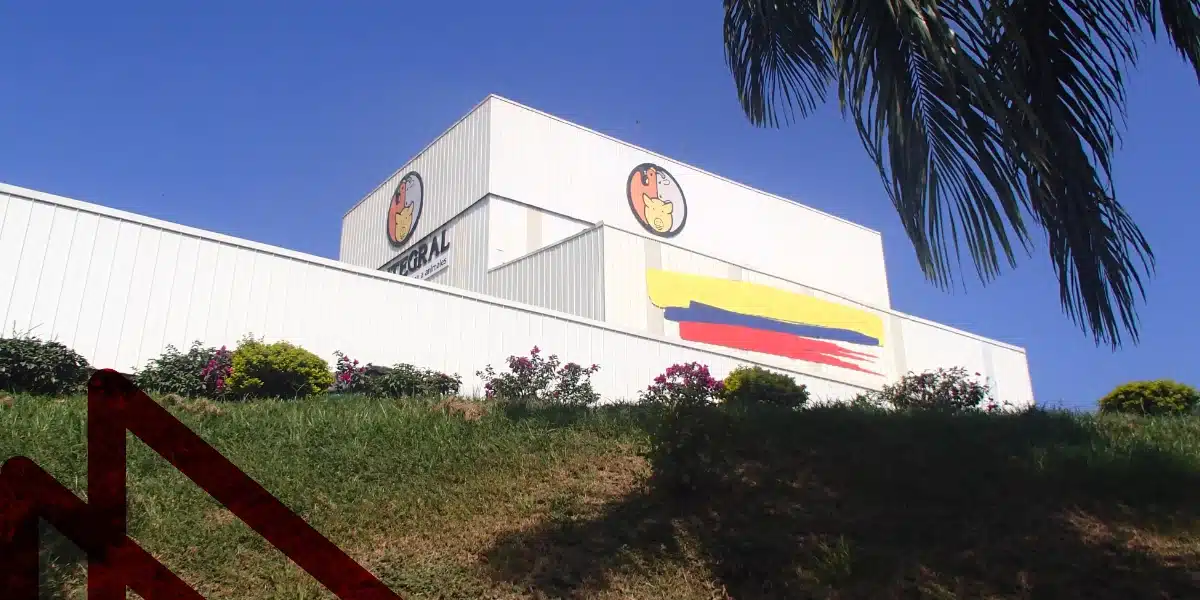 Pet plant for contegral cartago by Metalteco